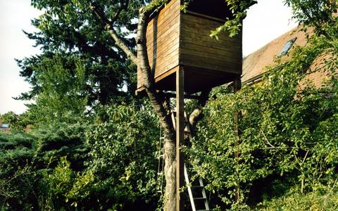 Bild: Ein Baumhaus aus Holz im Grünen